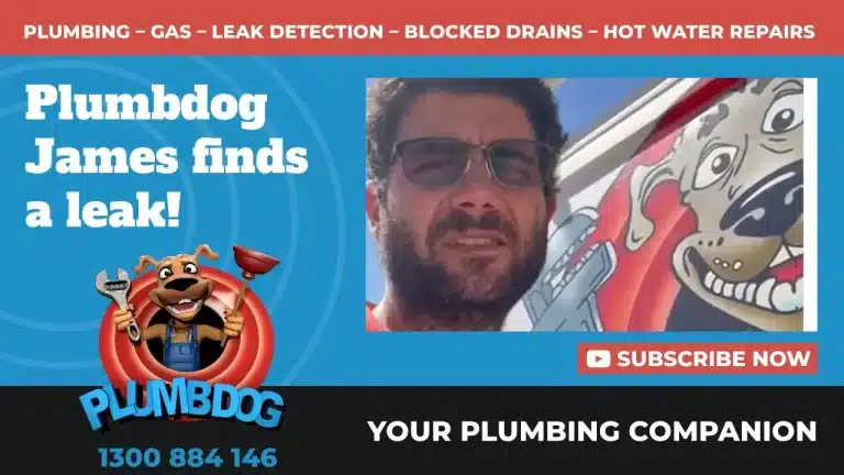 Leak Detection & Repair By Superstar Plumbdog James