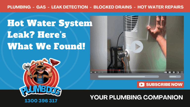 🐶 Heat Pump Installation & Nearby Leak Investigation in Perth 💧🛠️ When a New Hot Water System Appears to Leak — but the Source Is Somewhere Else
