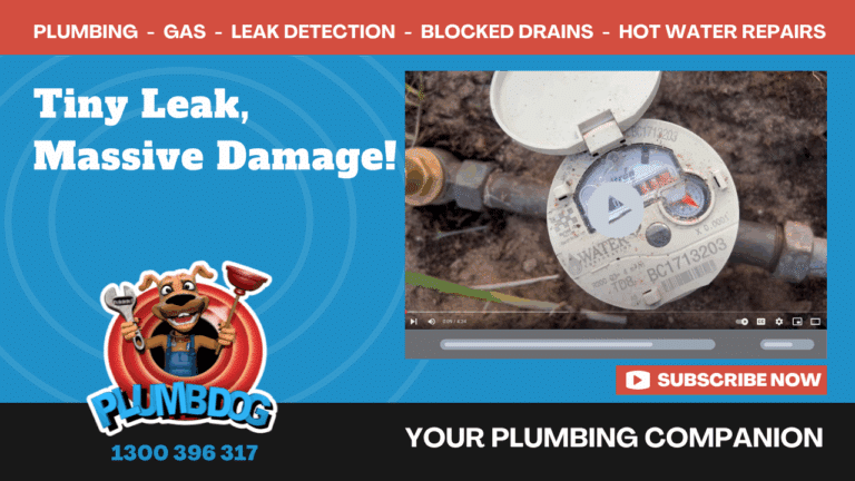 Shower Leak in Perth | Polybutylene Pipe Damage | Plumbdog Leak Detection