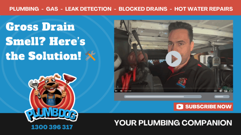 Smelly Drain in Newly Renovated Bathroom? Problem Solved!