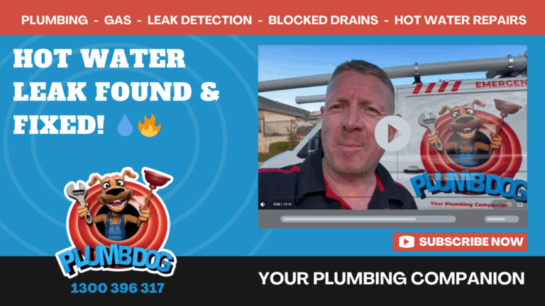 Hot Water Leak Detection & Repair | Mandurah Plumbing | Plumbdog Plumbing